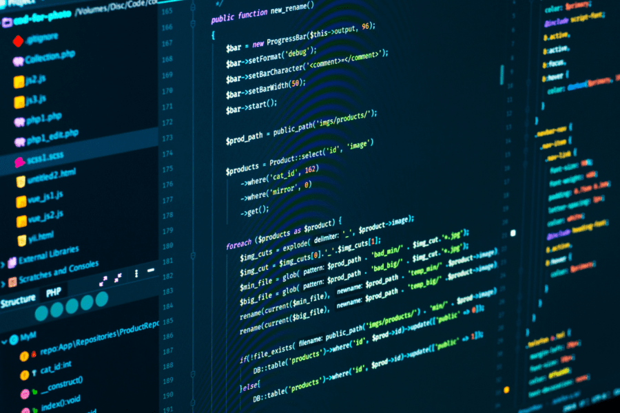 Source Code vs Executable Code