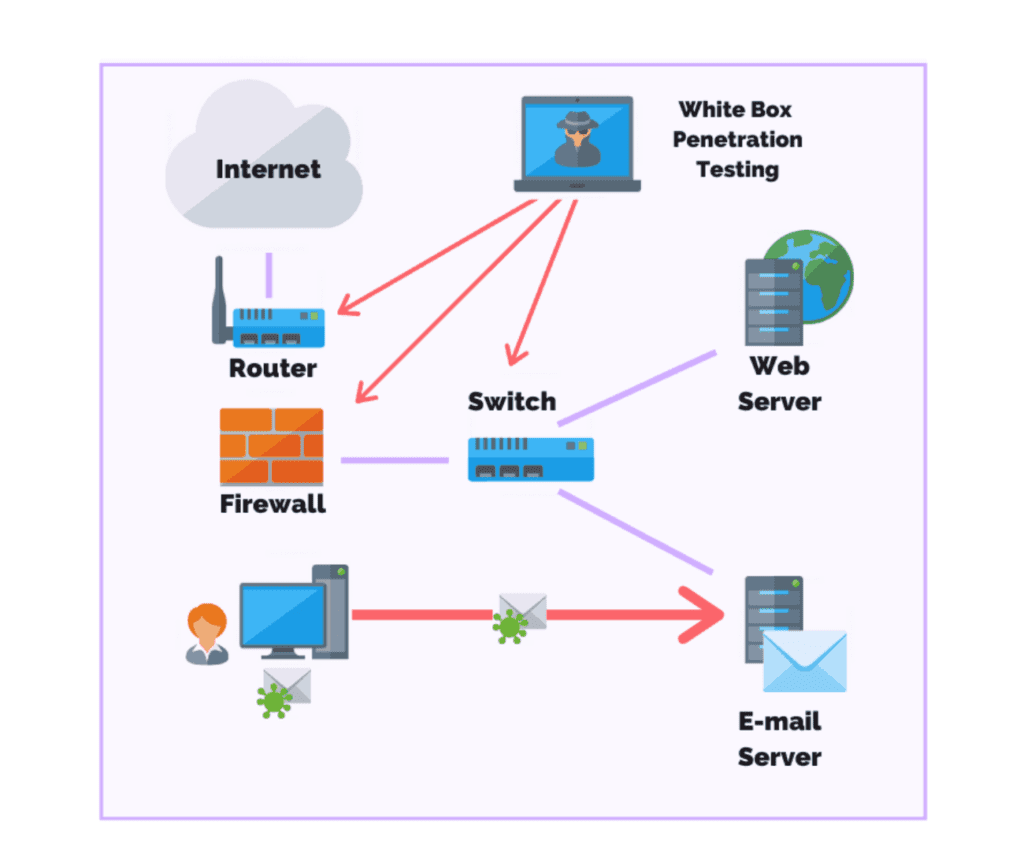 Whitebox Penetration Testing