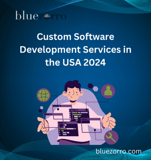 Custom Software Development Services in the USA 2024